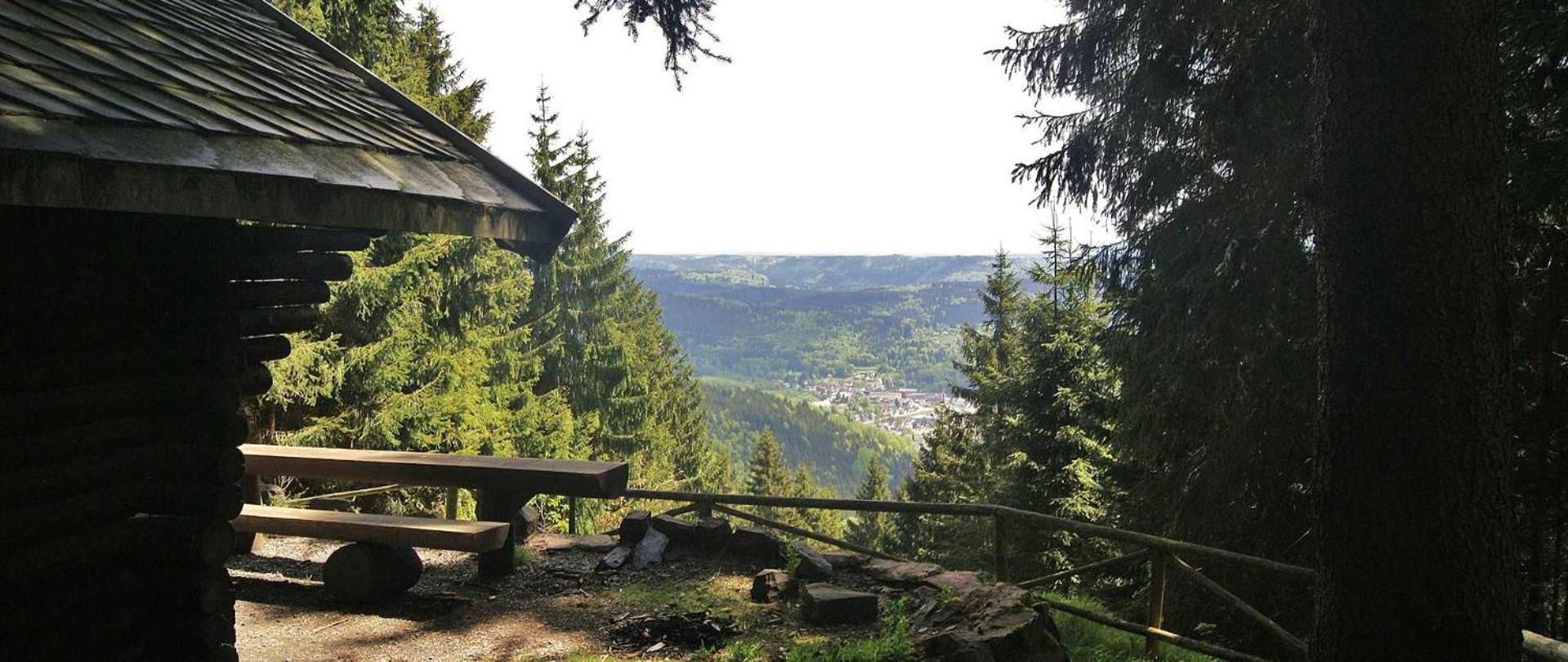 Ferienwohnung Klaus Steinach  Bagian luar foto